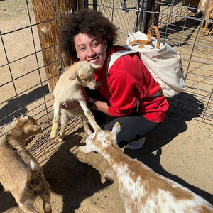 Meet your Posher, Saraiya